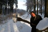 Au cours d'une promenade dans le Grand-Bois sur les hauteurs de Vielsalm, une rencontre inattendue est toujours possible ...