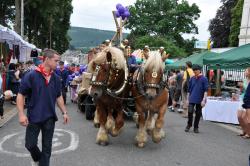 Une belle fête des myrtilles 2010 à Vielsalm!