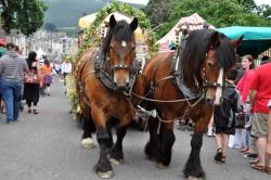 Une belle fête des myrtilles 2010 à Vielsalm!