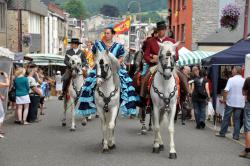 Une belle fête des myrtilles 2010 à Vielsalm!